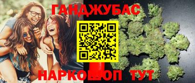 крисы Будённовск