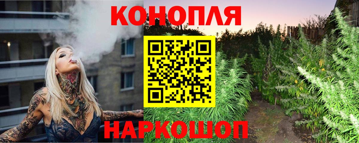 Конопля сатива Тейково